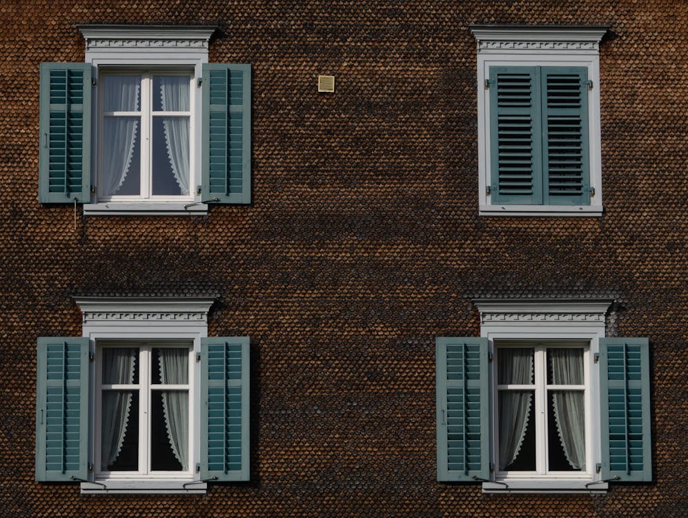 zdjęcie, zasłona, dekoracja, roślina, etykieta